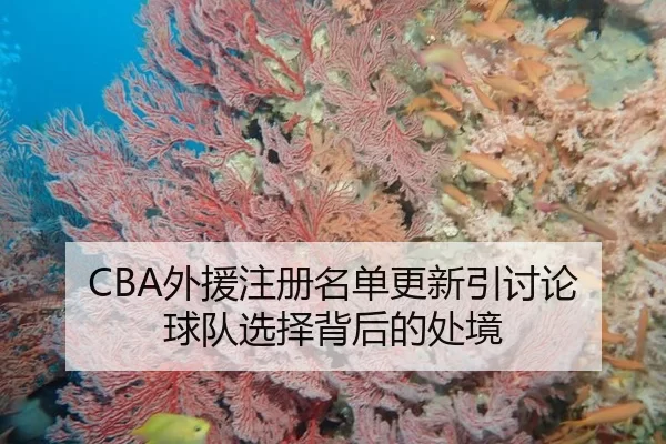 CBA外援注册名单更新引讨论 球队选择背后的处境